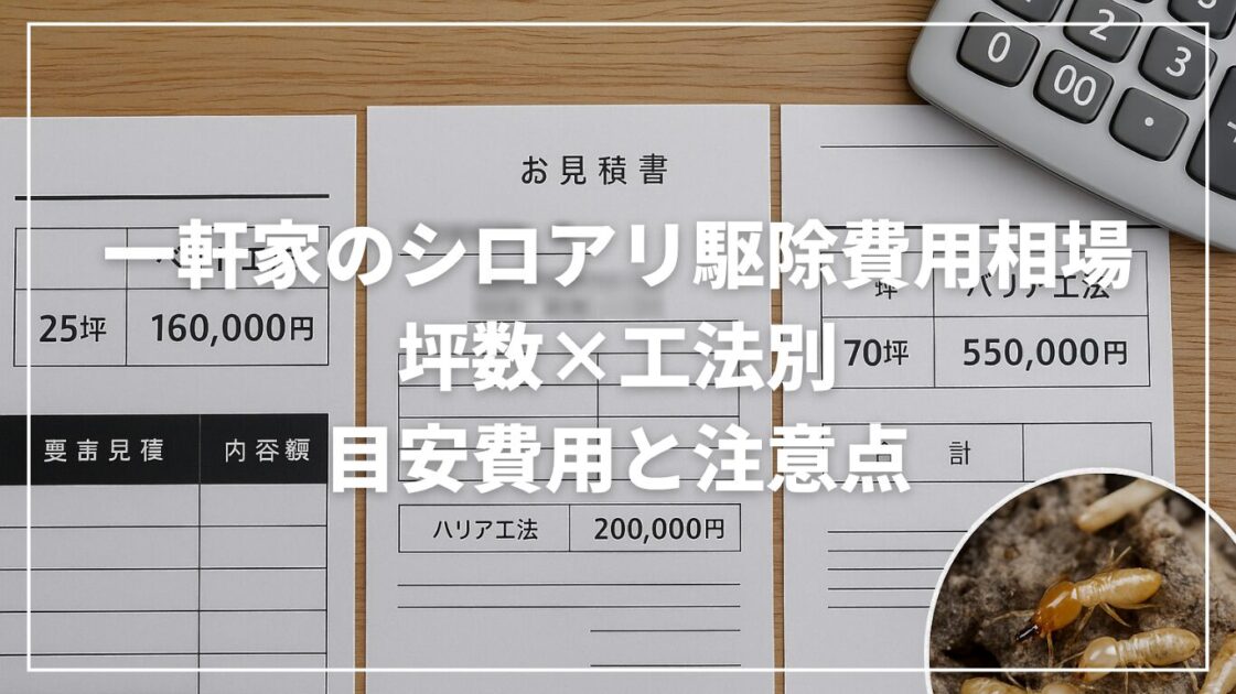 一軒家のシロアリ駆除費用相場｜坪数×工法別の目安費用と注意点