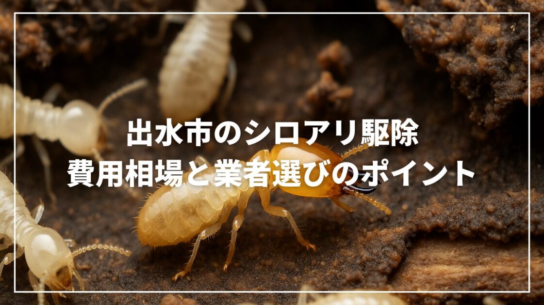 出水市のシロアリ駆除｜費用相場と業者選びのポイント