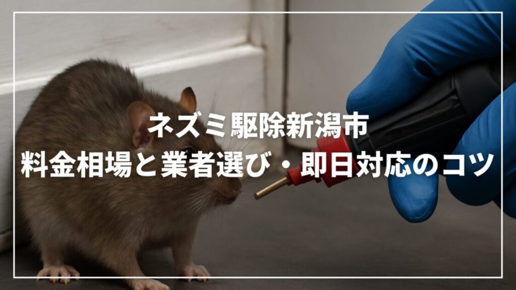 ネズミ駆除新潟市｜料金相場と業者選び・即日対応のコツ