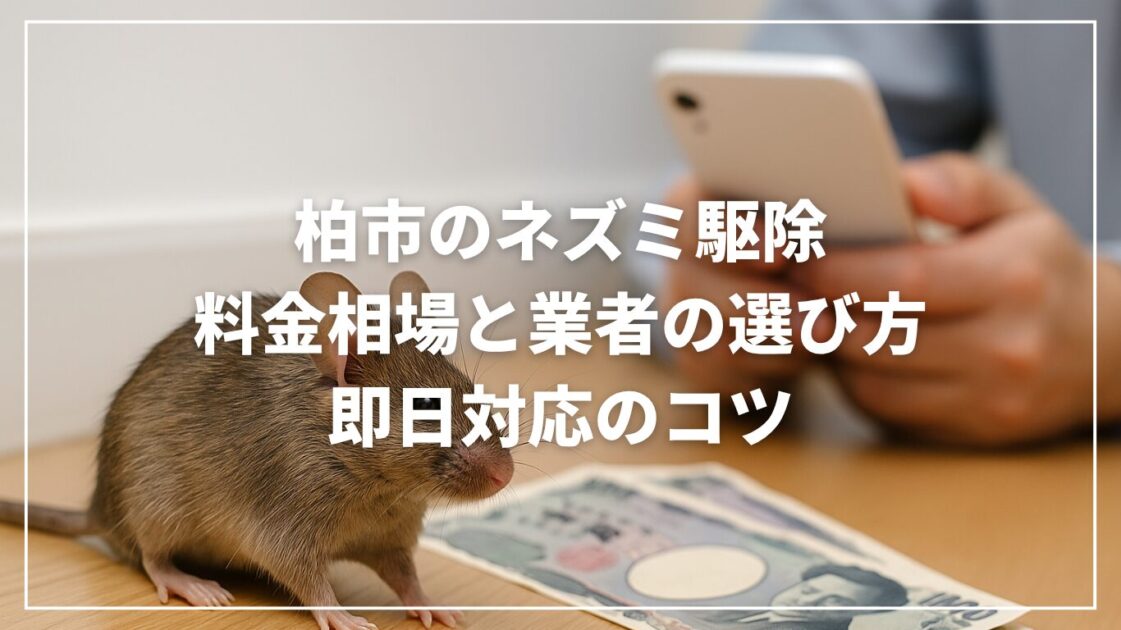 柏市のネズミ駆除｜料金相場と業者の選び方・即日対応のコツ