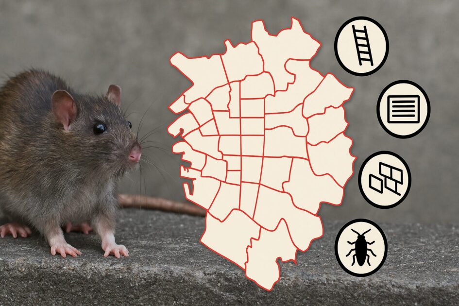 ネズミ駆除大阪市24区の対応エリアと、現地で増えがちな追加費用