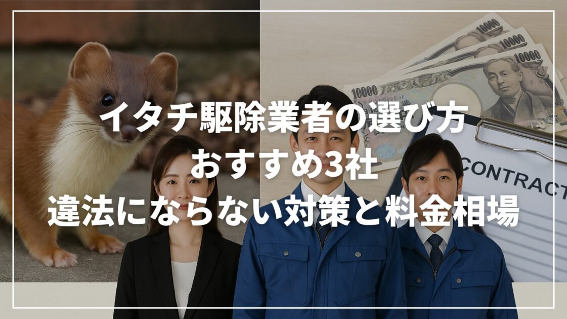 イタチ駆除業者の選び方とおすすめ3社｜違法にならない対策と料金相場