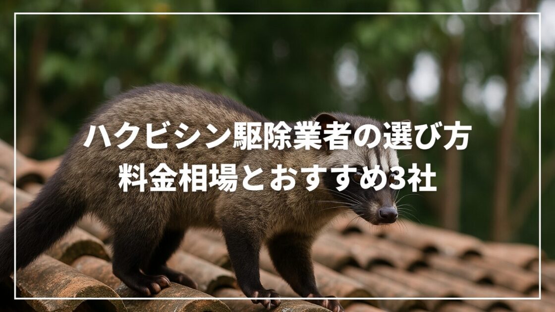 ハクビシン駆除業者の選び方｜料金相場とおすすめ3社