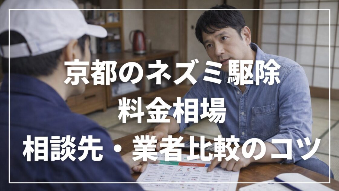 京都のネズミ駆除｜料金相場・相談先・業者比較のコツ