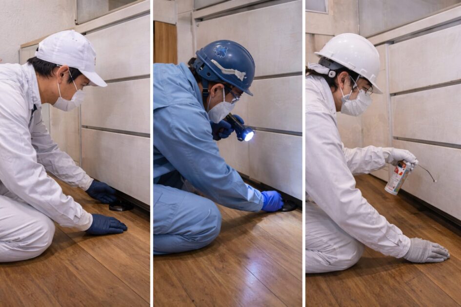 ゴキブリ駆除で使いやすい全国対応3社の使い分け（状況別）