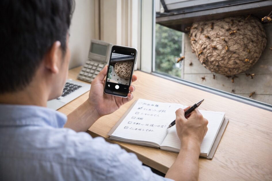 スズメバチ駆除業者へ相談する前に準備すること（時短テンプレ）