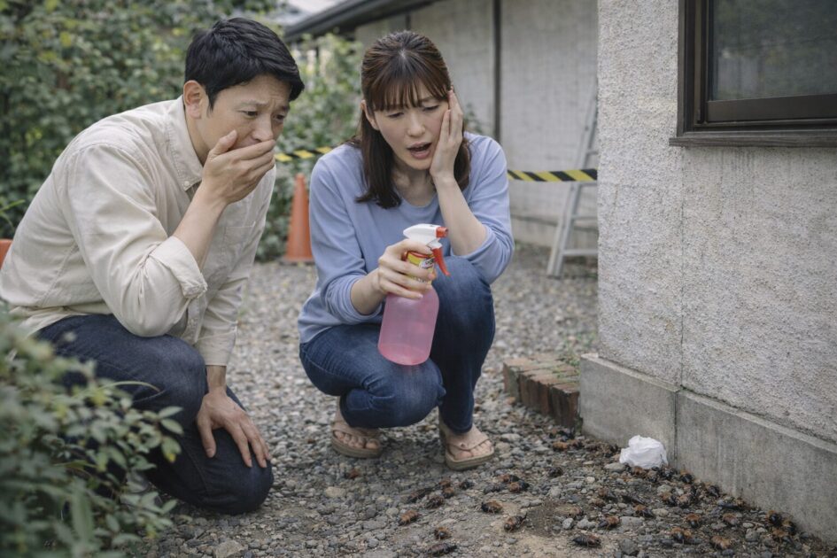 和歌山で害虫被害が出たとき当日〜48時間の応急処置｜やること・やらないこと