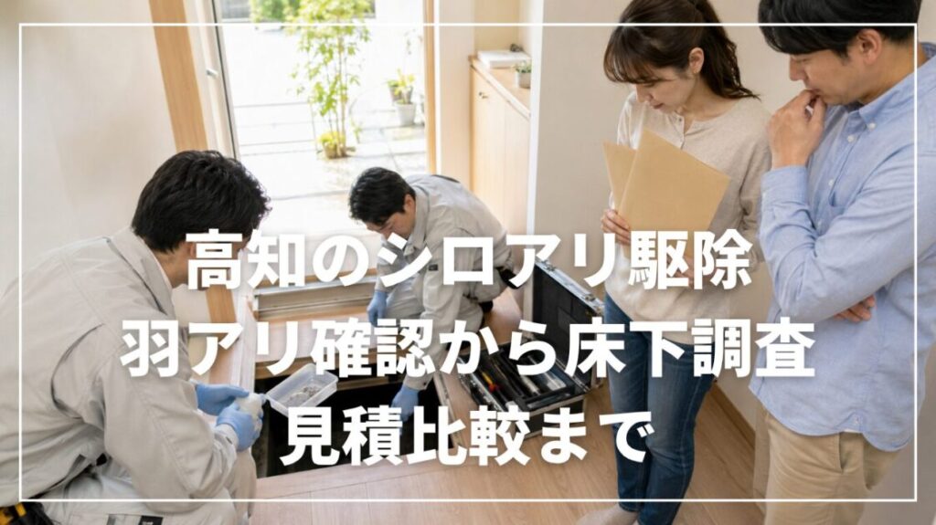 高知のシロアリ駆除｜羽アリ確認から床下調査・見積比較まで
