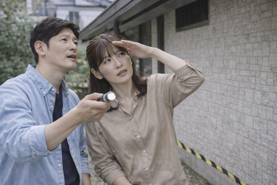 害獣駆除の見積もり前にやること（当日〜48時間）｜やること・やらないこと