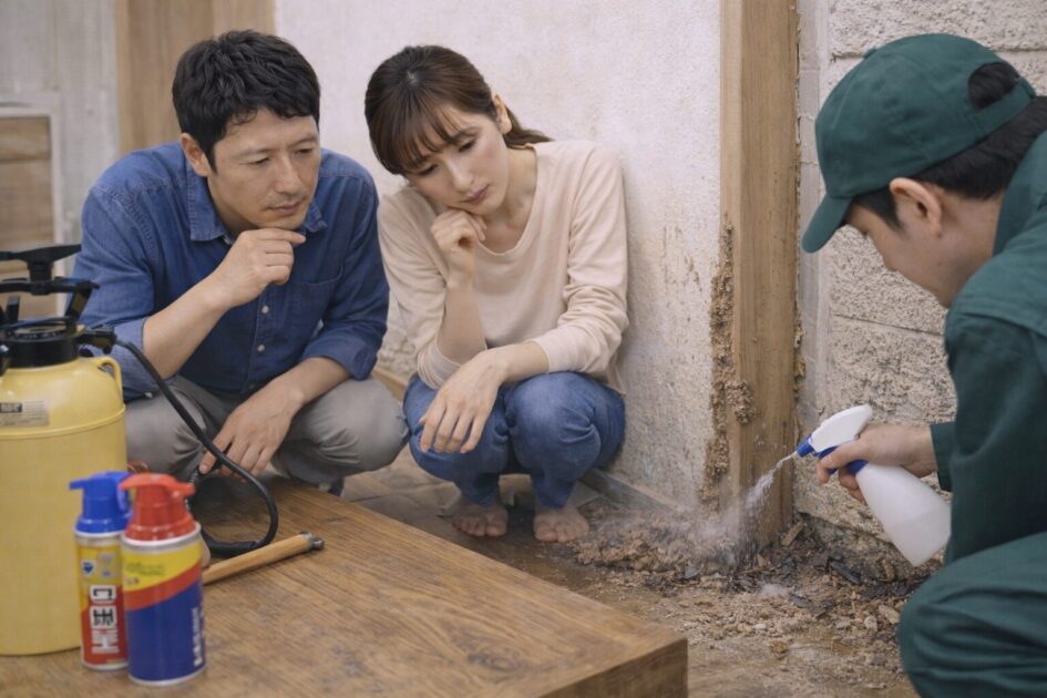 DIYはどこまで？シロアリ駆除を自力でやる前に知るべき境界線