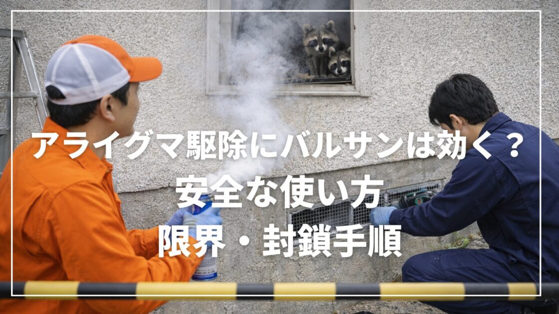 アライグマ駆除にバルサンは効く？安全な使い方と限界・封鎖手順