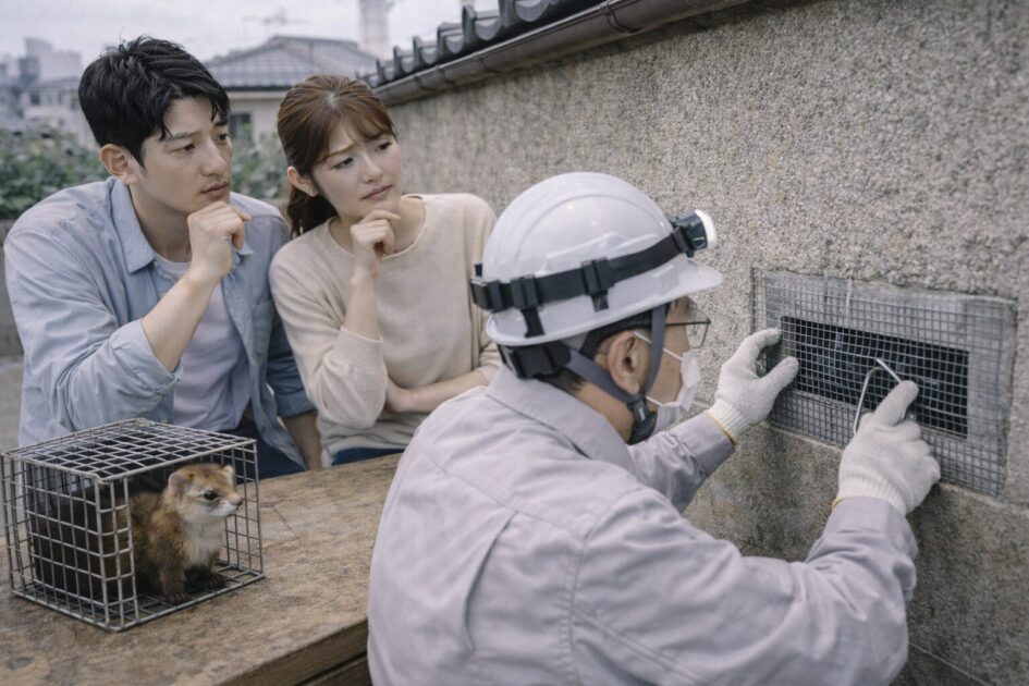 大阪で多い再発パターン｜封鎖を「優先順位」でやる