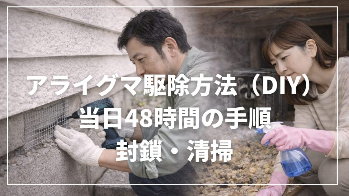 アライグマ駆除方法（DIY）｜当日48時間の手順と封鎖・清掃