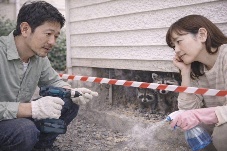 自力でどこまで？アライグマ駆除の「限界ライン」