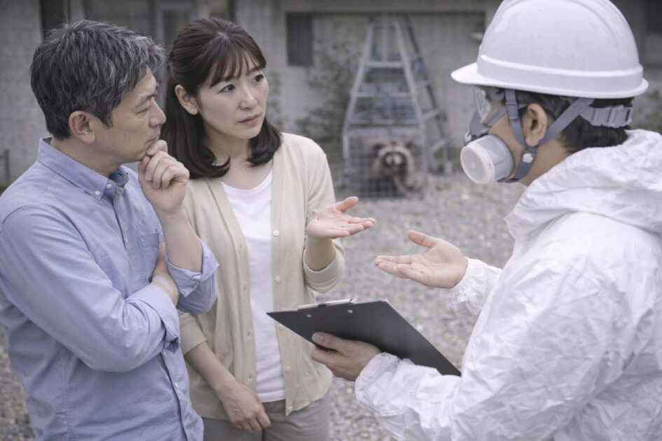 福岡のアライグマ駆除でよくある質問（FAQ）