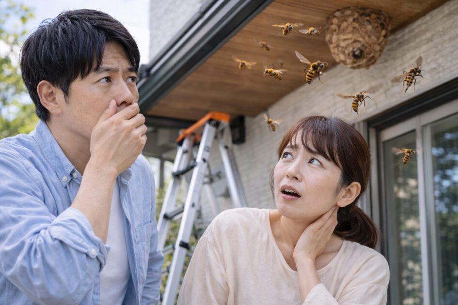 港区でスズメバチ駆除を急ぐべきサイン