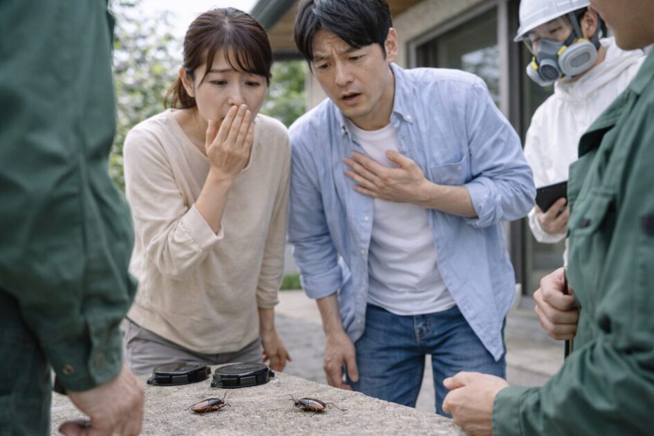 千葉市でゴキブリ駆除を急ぐべきサイン