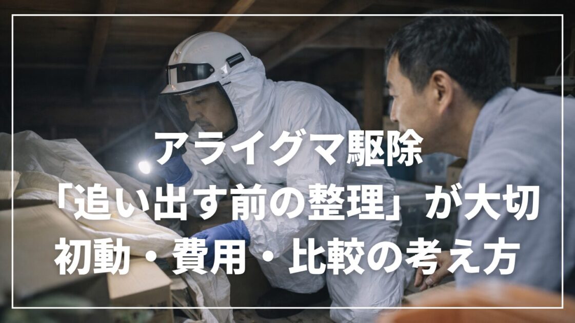 アライグマ駆除は「追い出す前の整理」が大切｜初動・費用・比較の考え方