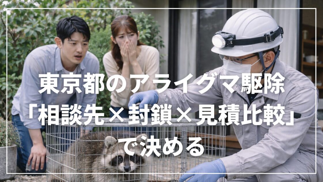 東京都のアライグマ駆除は「相談先×封鎖×見積比較」で決める