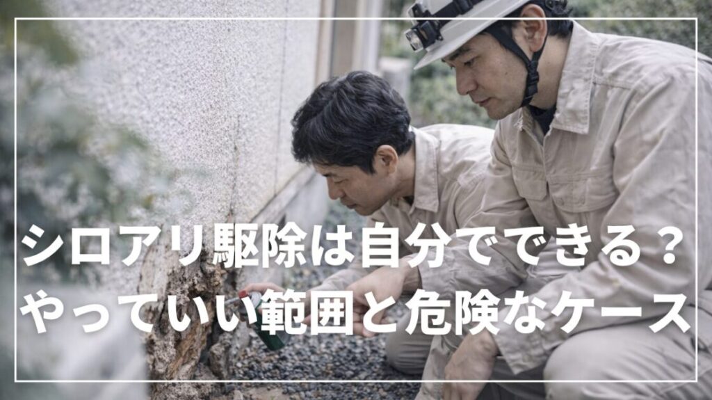 シロアリ駆除は自分でできる？やっていい範囲と危険なケース