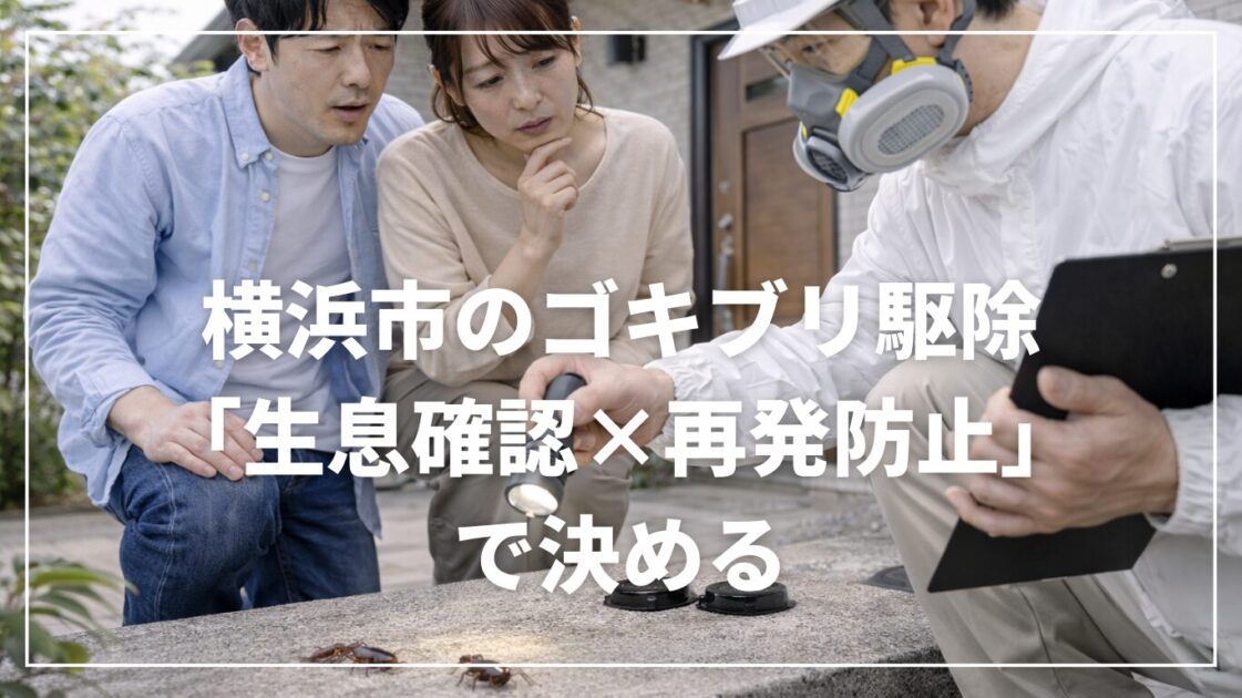 横浜市のゴキブリ駆除は「生息確認×再発防止」で決める