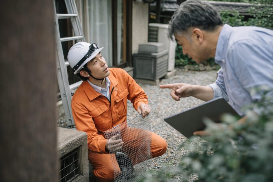 ハクビシン駆除に迷ったら「追い出し×封鎖×比較」で進める