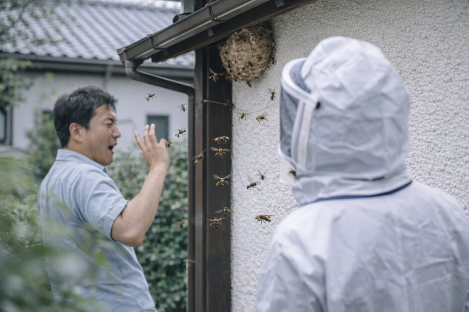 スズメバチ駆除を急ぐべきサイン