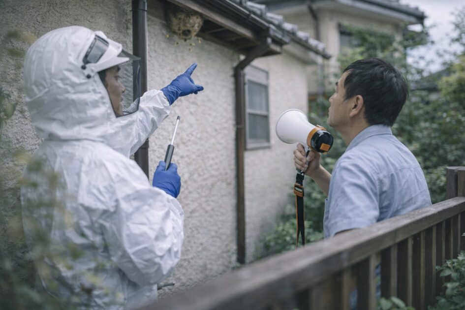 スズメバチ駆除に迷ったら「安全確保×比較」で進める