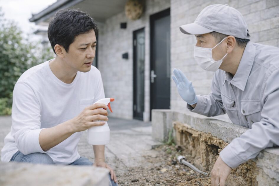 シロアリ駆除を自力で進められるケースと限界ライン
