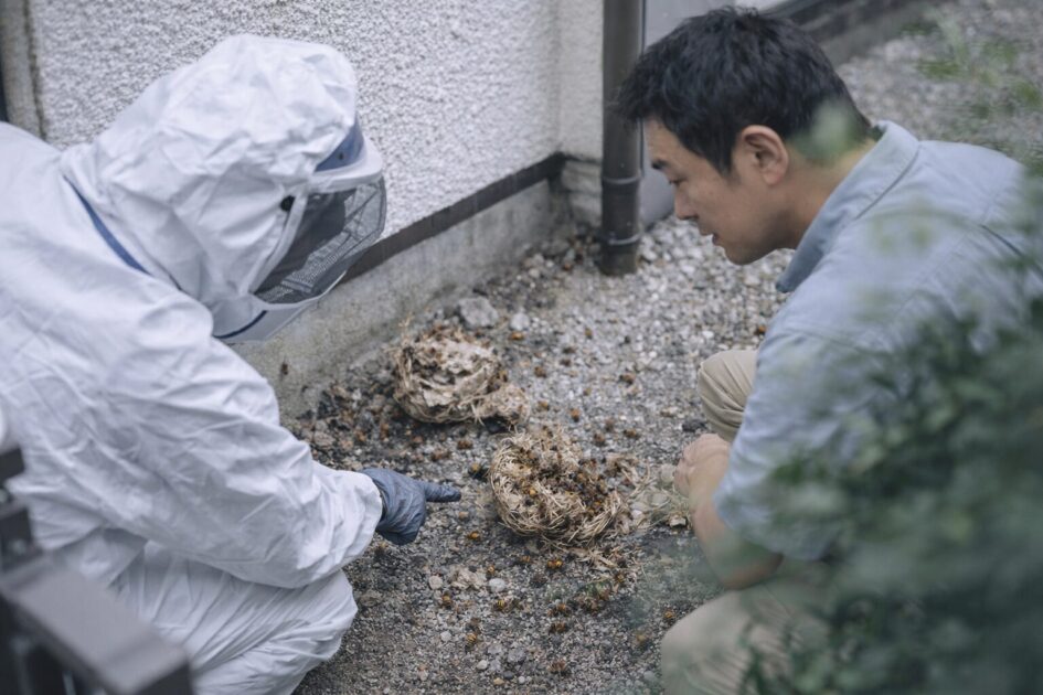 スズメバチ駆除は「自力で落とす」だけで終わらない