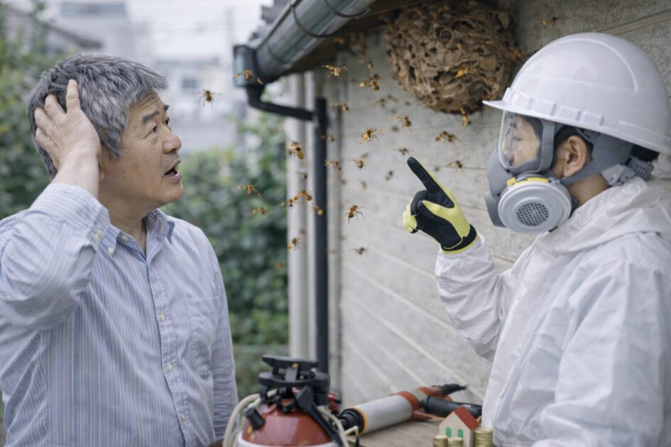 岐阜でスズメバチ駆除を急ぐべきサイン