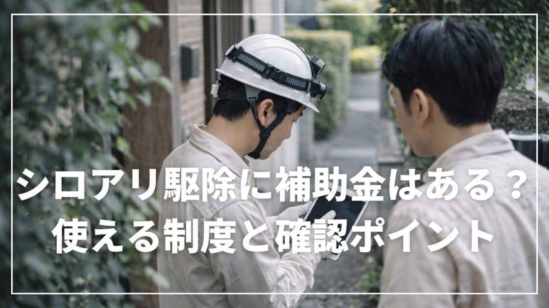 シロアリ駆除に補助金はある?使える制度と確認ポイント