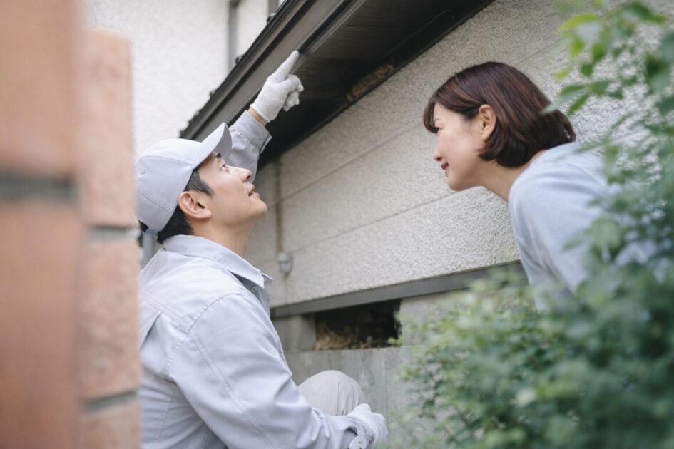 ネズミ駆除の料金でよくある質問（FAQ）