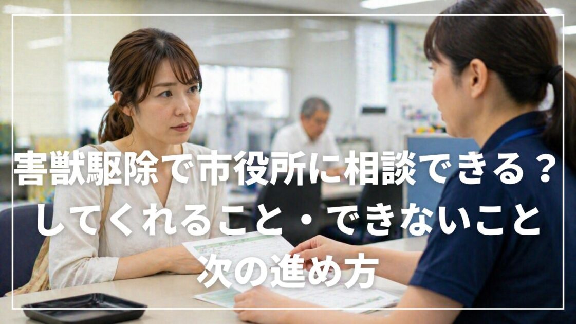 害獣駆除で市役所に相談できる？してくれること・できないこと・次の進め方