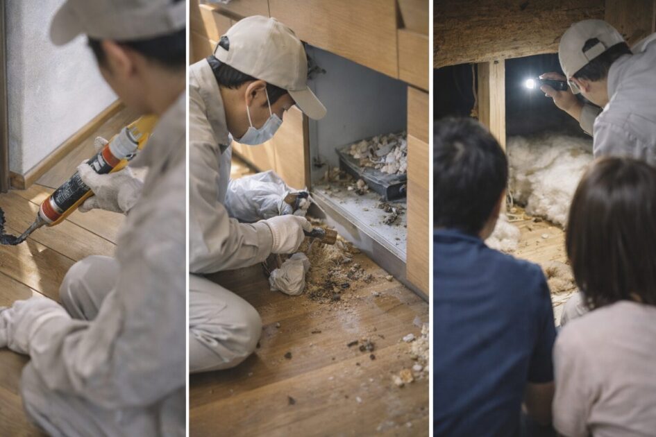 ねずみ業者の値段で差が出やすい3項目