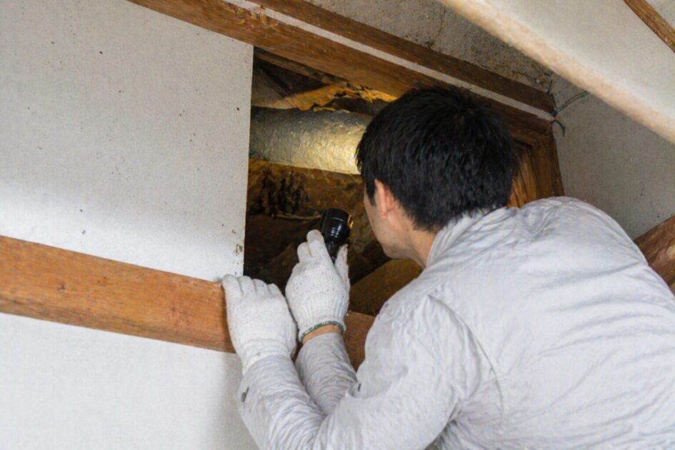 コウモリ被害で火災保険を確認したい費用