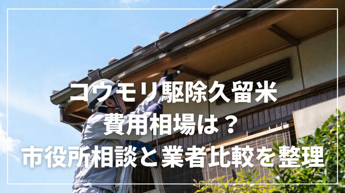 コウモリ駆除久留米の費用相場は？市役所相談と業者比較を整理